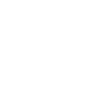 File:SF-icon-Old Earth Hunting Rifle.png