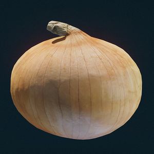 SF-item-Onion.jpg