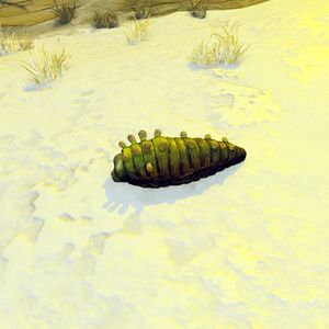 SF-fauna-Flocking Caterpillar Scavenger.jpg