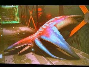SF-item-Whaleshark Manta.jpg
