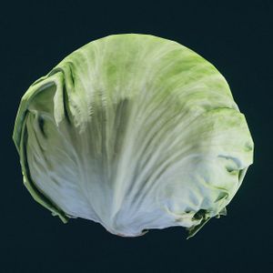 SF-item-Lettuce.jpg
