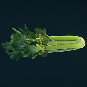 SF-item-Celery.jpg