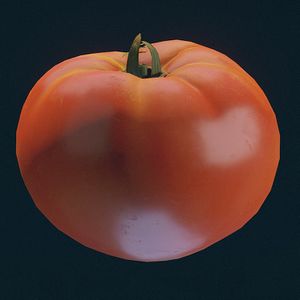SF-item-Tomato.jpg