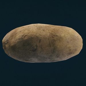 SF-item-Potato.jpg
