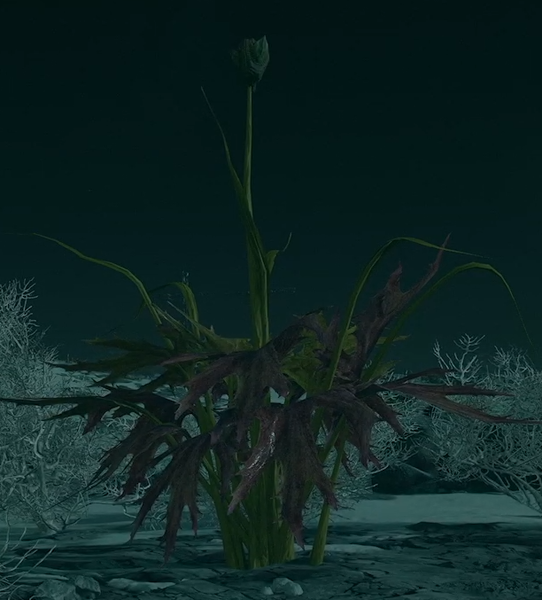 File:Kreet-Flora-Frost-Reed.png