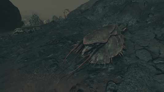 SF-fauna-Trilobite.jpg