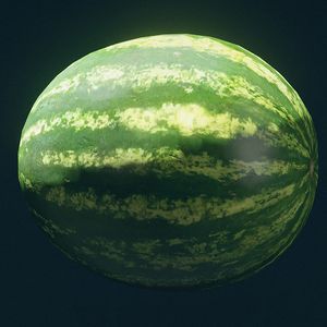 SF-item-Watermelon.jpg